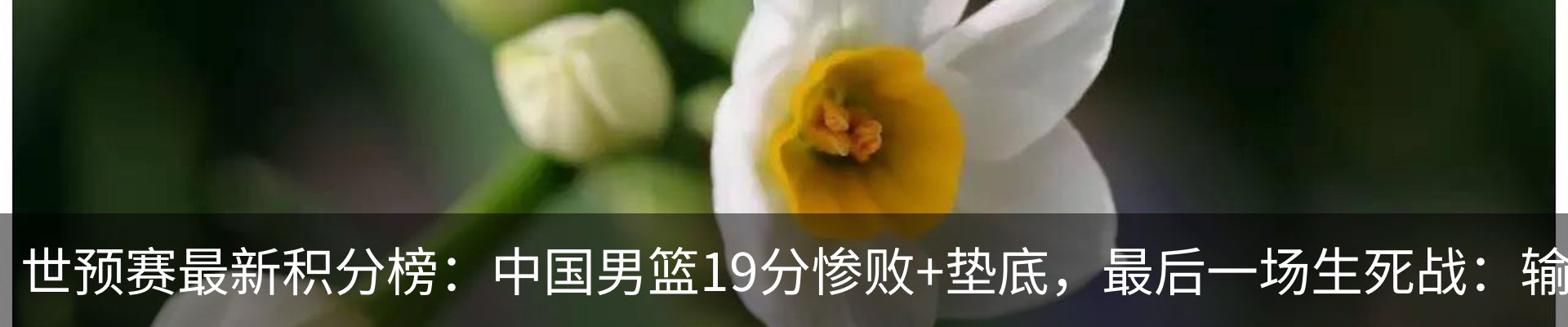 资讯中心